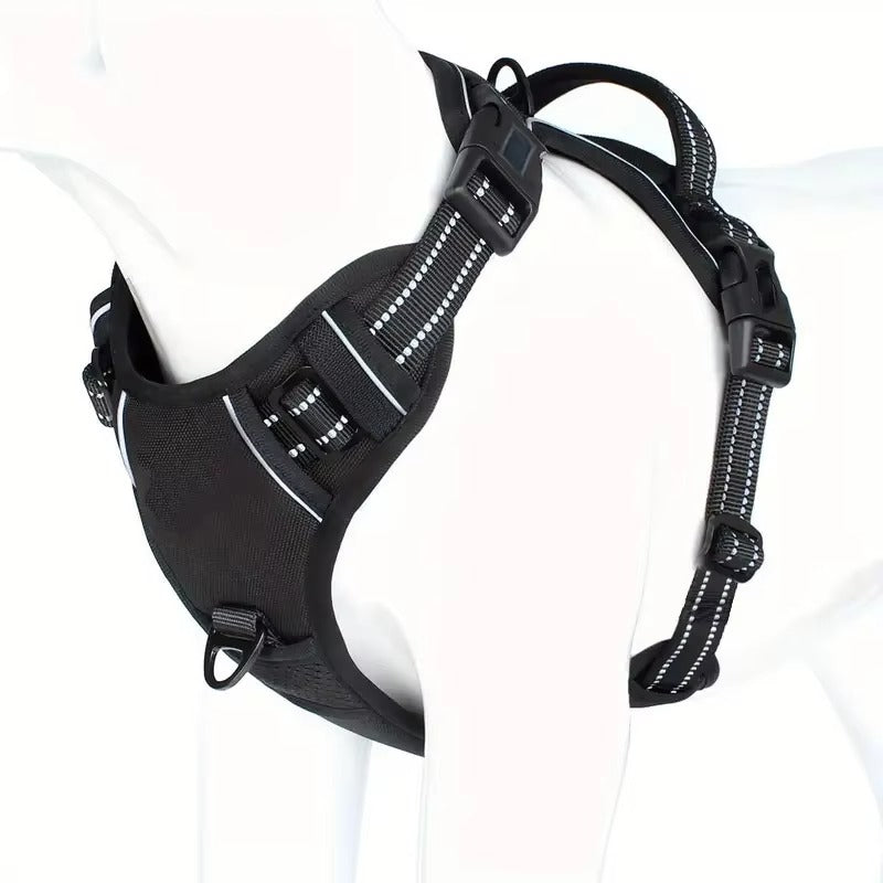 TrailGuard™ Adventure Harness