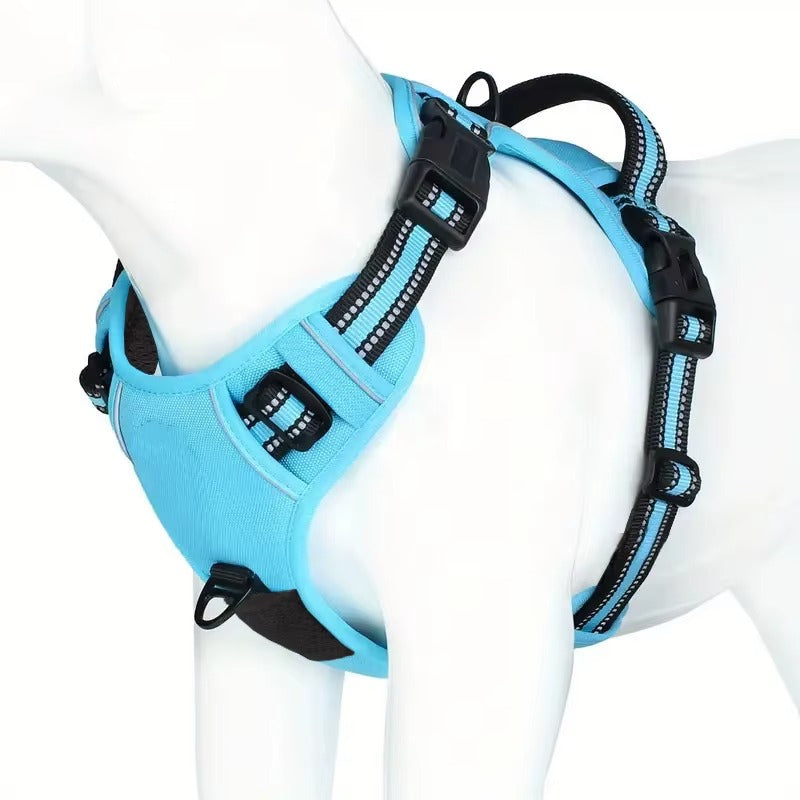 TrailGuard™ Adventure Harness