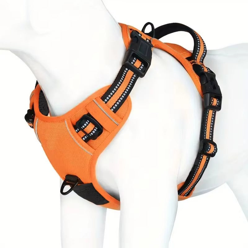 TrailGuard™ Adventure Harness